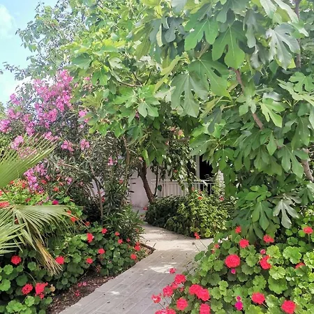 Hotell Kiris Garden Kemer